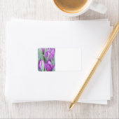 Paarse Tulpen Etiket (Insitu)