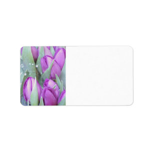 Paarse Tulpen Etiket