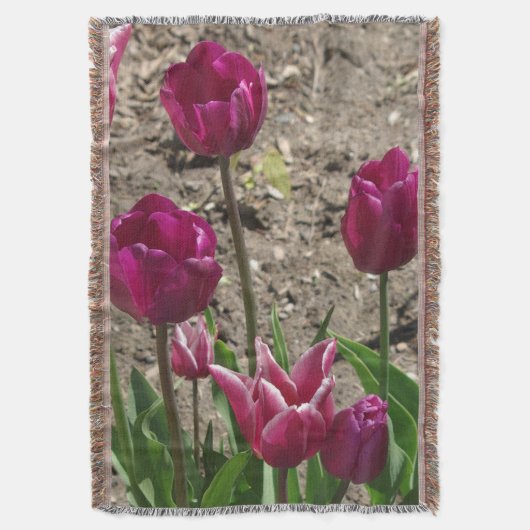 Paarse tulpen, geweven deken (Voorkant Verticaal)