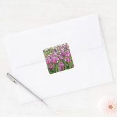 Paarse tulpen in briefkaart van tuinen vierkante sticker (Envelop)