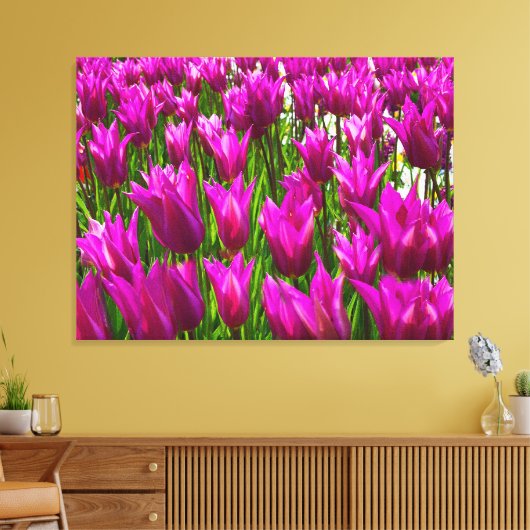 Paarse tulpen in Keukenhof Holland Premium Wrapped Canvas Afdruk (Insitu (Woonkamer))
