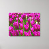 Paarse tulpen in Keukenhof Holland Premium Wrapped Canvas Afdruk (Voorkant)