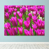 Paarse tulpen in Keukenhof Holland Premium Wrapped Canvas Afdruk (Insitu (Houten vloer))