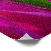 Paarse Tulpen in Keukenhof, Holland Print (Hoek)