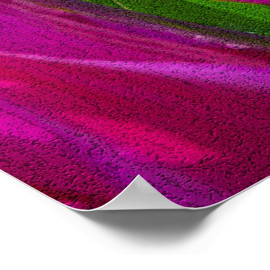 Paarse Tulpen in Keukenhof, Holland Print (Hoek)