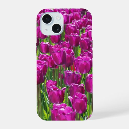 Paarse Tulpen iPhone 15 Case (Achterkant)