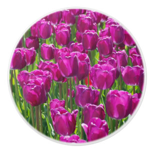 Paarse Tulpen Keramische Knop