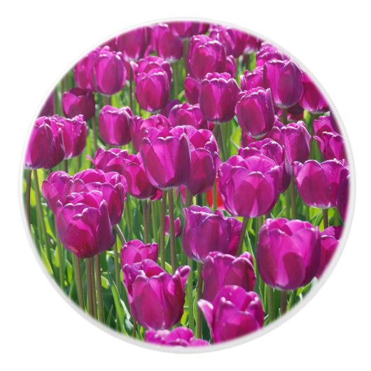 Paarse Tulpen Keramische Knop (Voorkant)