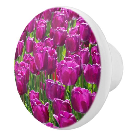 Paarse Tulpen Keramische Knop (Rechts)