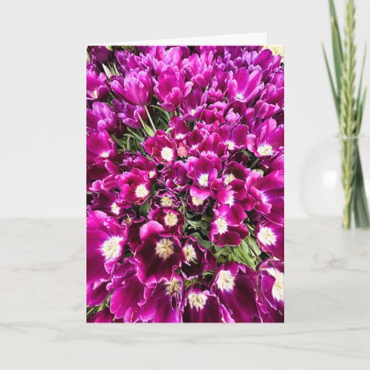 Paarse Tulpen Lege Kaart (Voorkant)