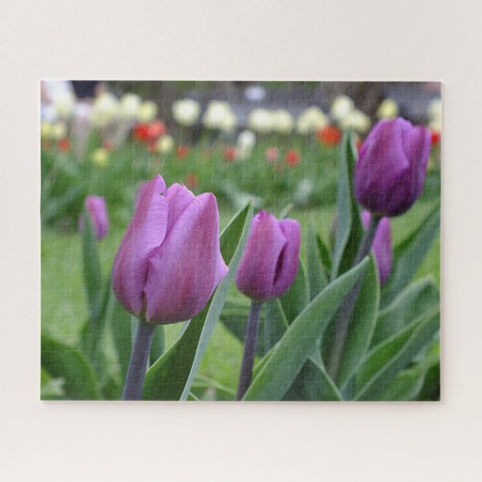 Paarse Tulpen Legpuzzel (Horizontaal)
