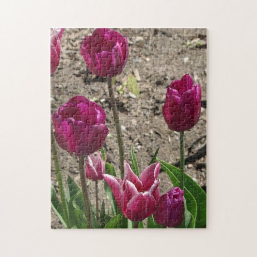 Paarse Tulpen Legpuzzel (Verticaal)