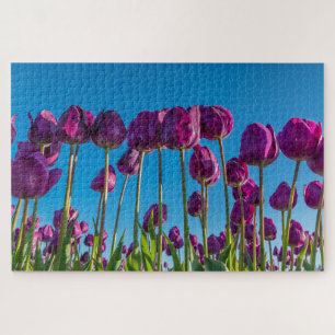 Paarse Tulpen Legpuzzel