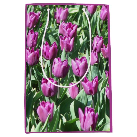 Paarse Tulpen Medium Cadeauzakje (Voorkant)