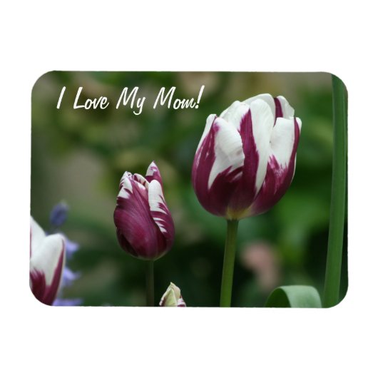 Paarse Tulpen Moeder Magneet (Horizontaal)