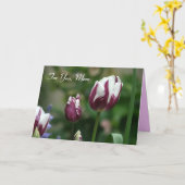 Paarse Tulpen Moederdag Kaart (Gele Bloem)