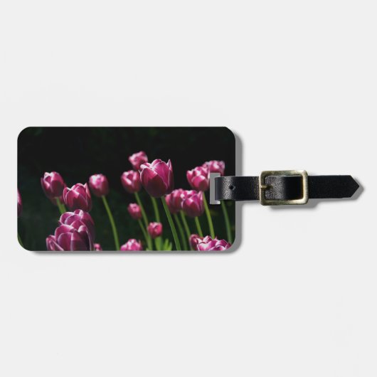 Paarse tulpen op zwart bagagelabel (Voorkant horizontaal)