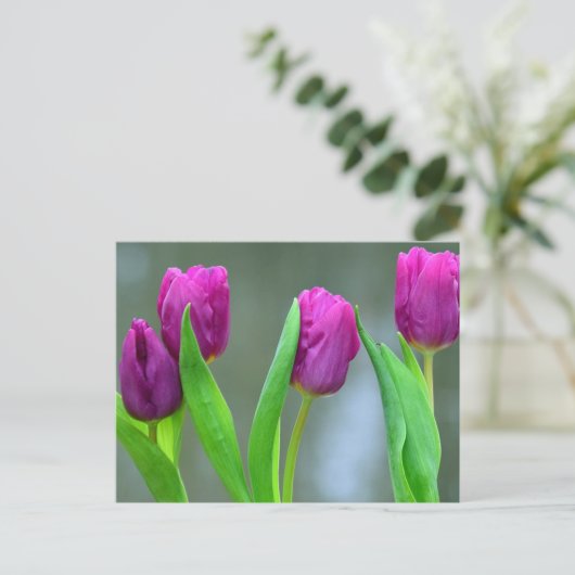  Paarse Tulpen Paas Briefkaart (Staand voorkant)