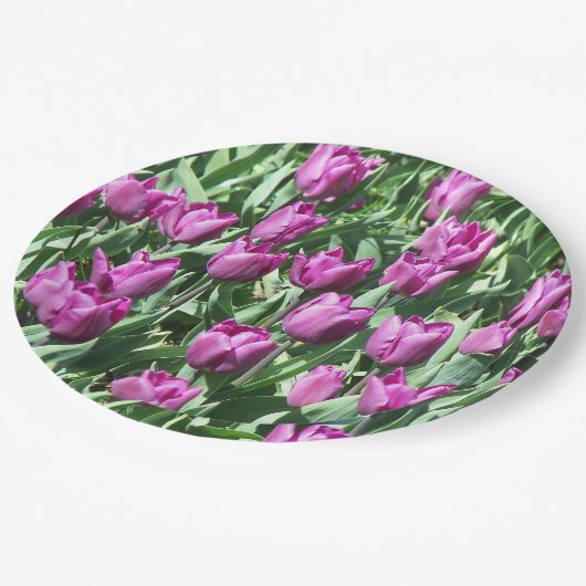 Paarse Tulpen Papieren Bordje (Gekanteld)