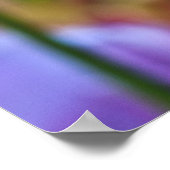 Paarse Tulpen Poster (Hoek)