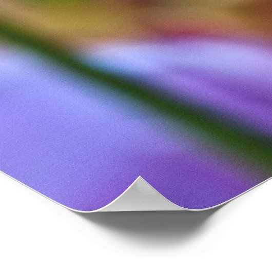 Paarse Tulpen Poster (Hoek)