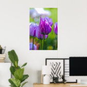 Paarse Tulpen Poster (Thuiskantoor)