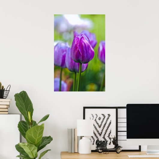 Paarse Tulpen Poster (Thuiskantoor)