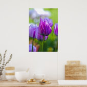Paarse Tulpen Poster (Keuken)