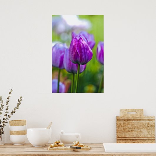 Paarse Tulpen Poster (Keuken)