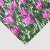  Paarse Tulpen Tissuepapier (Detail)