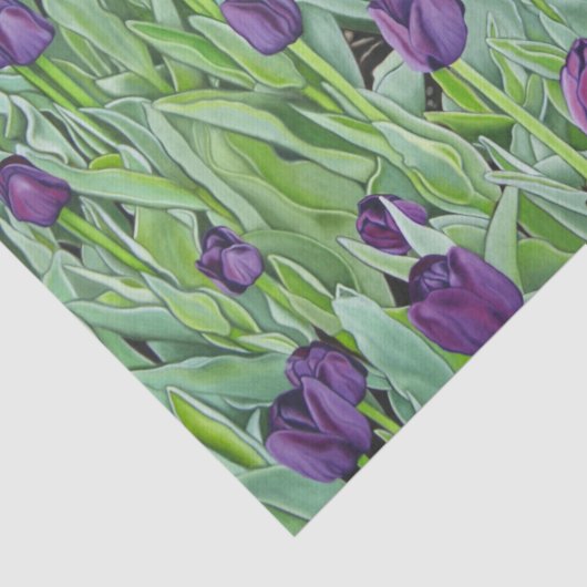 Paarse Tulpen Tissuepapier (Detail)