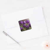Paarse tulpen vierkante sticker (Envelop)