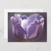 Paarse tulpventiel en bijen briefkaart (Voorkant / Achterkant)
