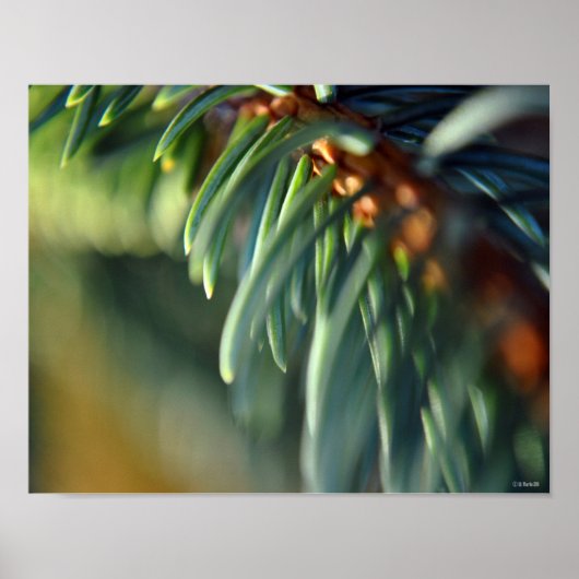 Paarse tweelingen die fijne kunstschilderingen met poster (Voorkant)