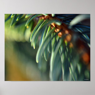 Paarse tweelingen met een fraaie, fijne tekenverf poster