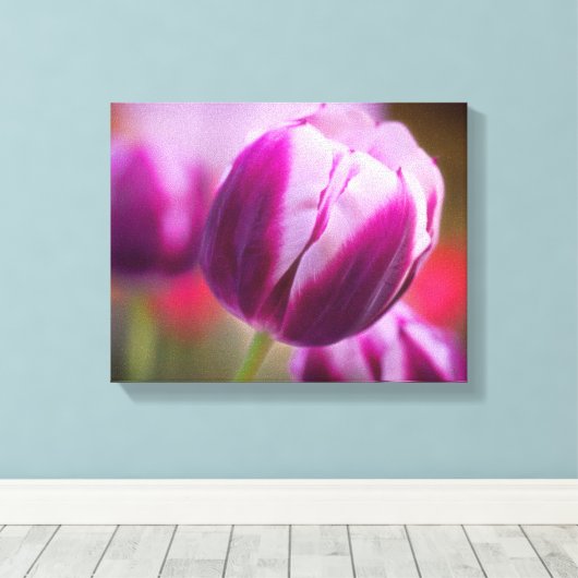 Paarse tweetone Tulp Canvas Afdruk (Insitu (Houten vloer))