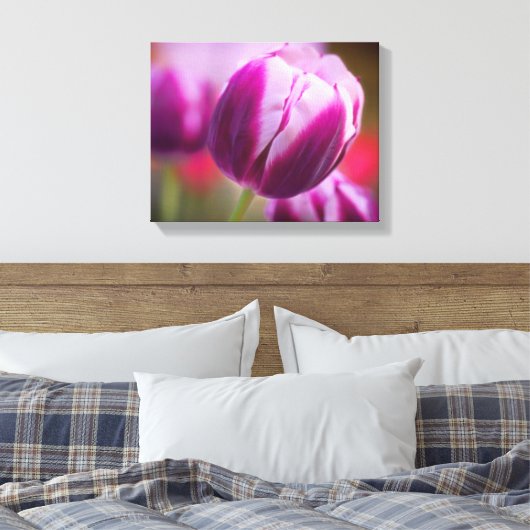 Paarse tweetone Tulp Canvas Afdruk (Insitu (Slaapkamer))