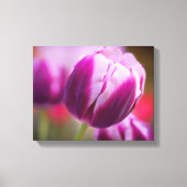 Paarse tweetone Tulp Canvas Afdruk (Voorkant)