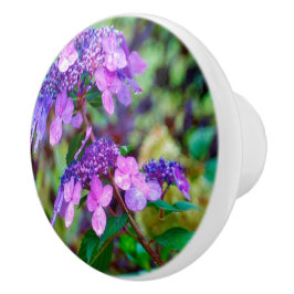 Paarse Twist and Shout Hortensia Bloem Keramische Knop