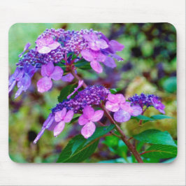 Paarse Twist and Shout Hortensia Bloem Muismat