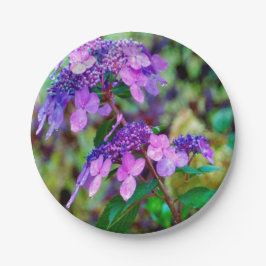 Paarse Twist and Shout Hortensia Bloem Papieren Bordje