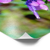 Paarse Twist en Shout Hydrangea Flower Foto Afdruk (Hoek)