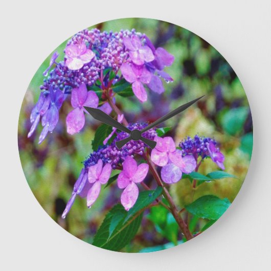 Paarse Twist en Shout Hydrangea Flower Grote Klok (Voorkant)