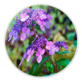 Paarse Twist en Shout Hydrangea Flower Keramische Knop (Voorkant)