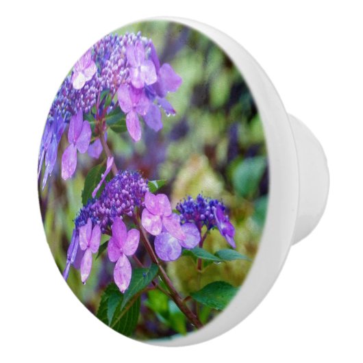 Paarse Twist en Shout Hydrangea Flower Keramische Knop (Rechts)