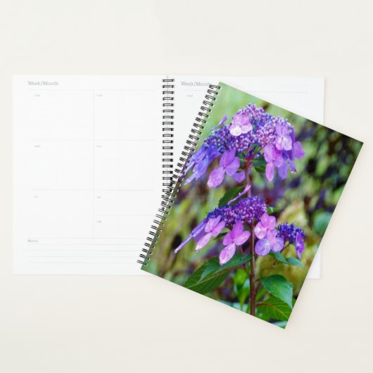 Paarse Twist en Shout Hydrangea Flower Planner (Display)
