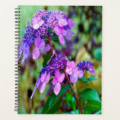 Paarse Twist en Shout Hydrangea Flower Planner (Voorkant)