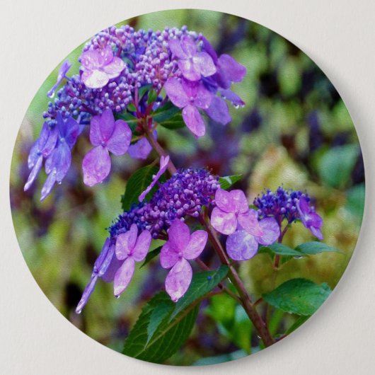 Paarse Twist en Shout Hydrangea Flower Ronde Button 6,0 Cm (Voorkant)
