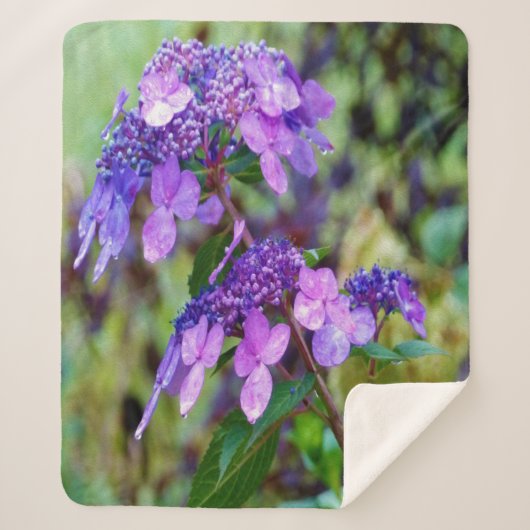 Paarse Twist en Shout Hydrangea Flower Sherpa Deken (Voorkant)