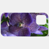 Paarse Vanda iPhone 13 Pro Max Hoesje (Achterkant (horizontaal))